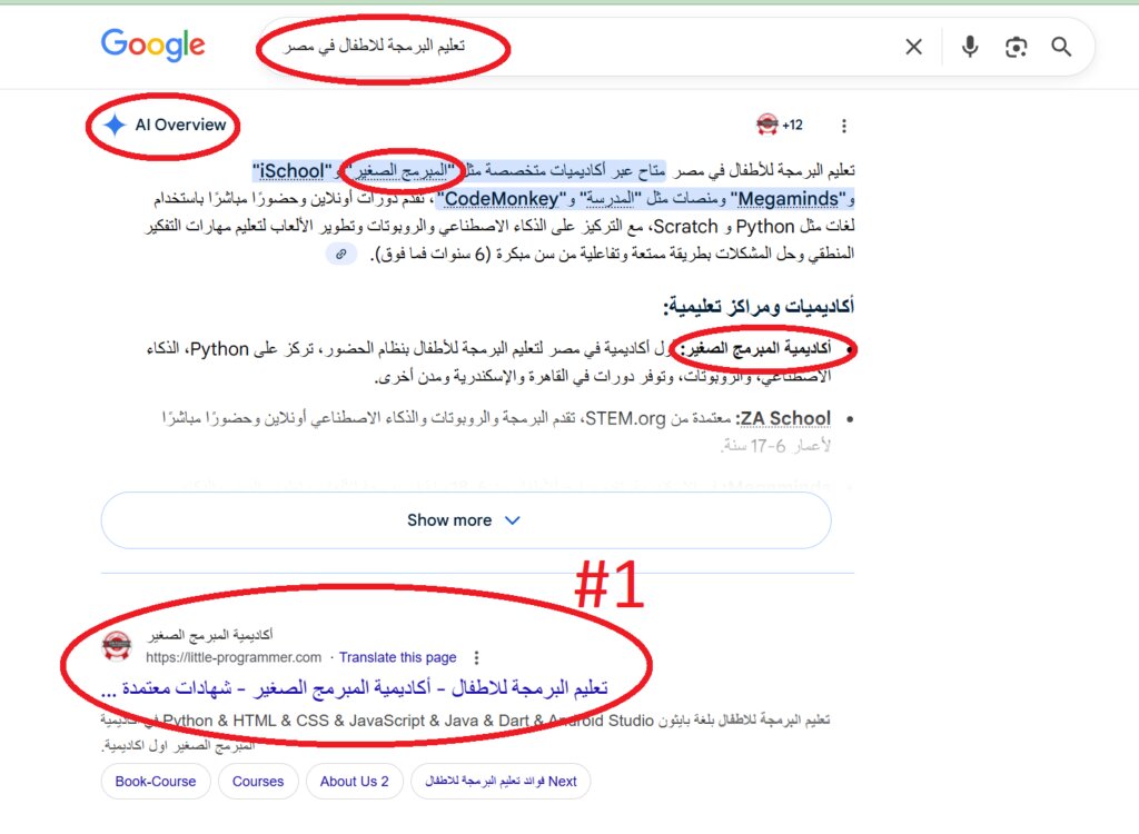 Little programmer SEO